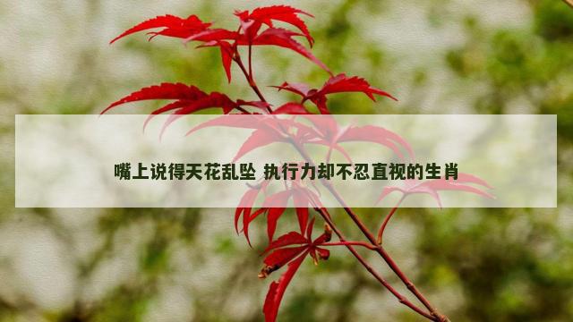 嘴上说得天花乱坠 执行力却不忍直视的生肖