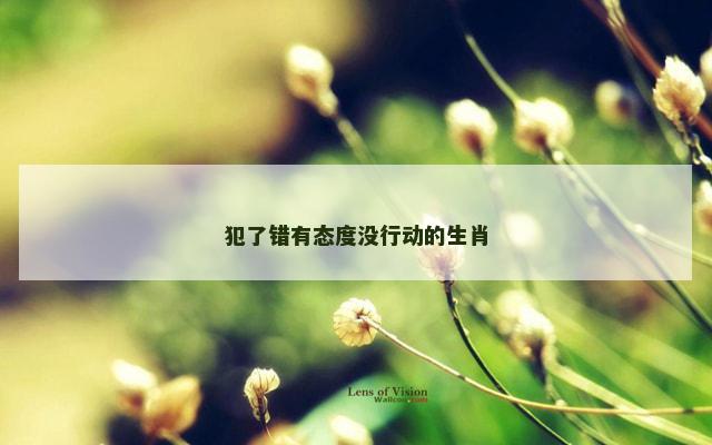犯了错有态度没行动的生肖