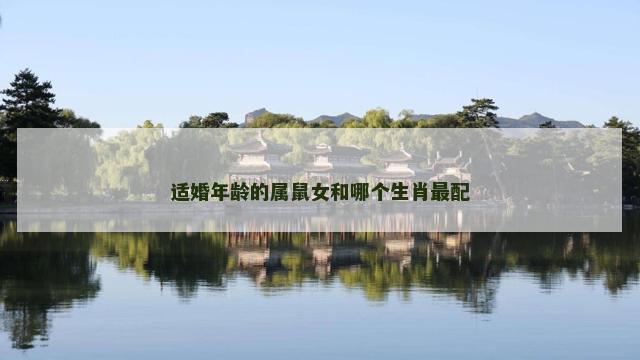 适婚年龄的属鼠女和哪个生肖最配