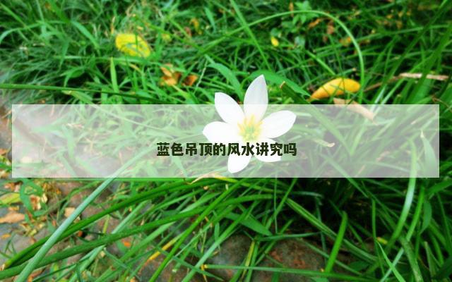 蓝色吊顶的风水讲究吗