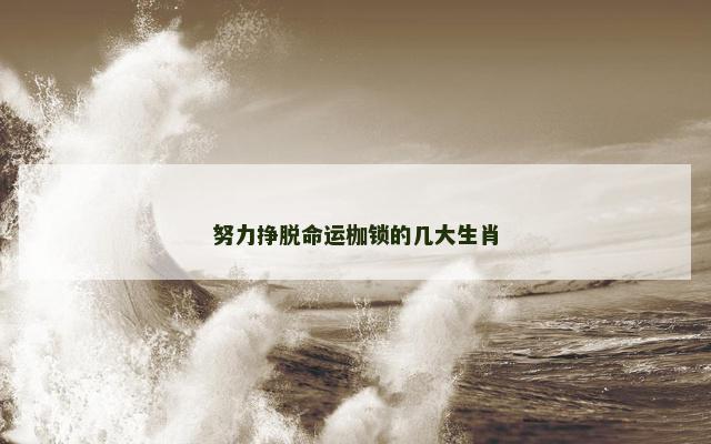 努力挣脱命运枷锁的几大生肖