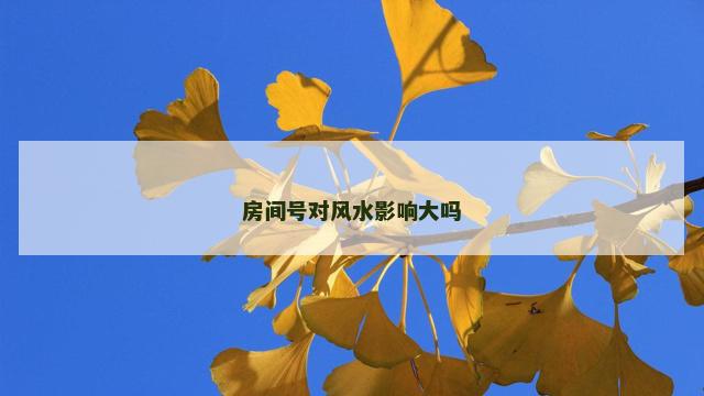 房间号对风水影响大吗