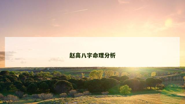 赵高八字命理分析