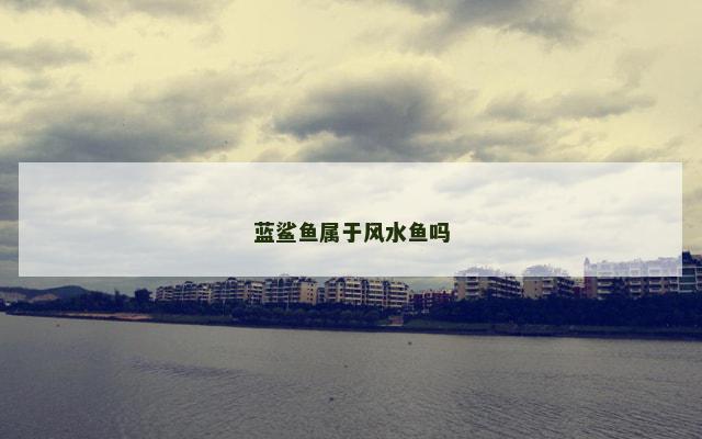 蓝鲨鱼属于风水鱼吗