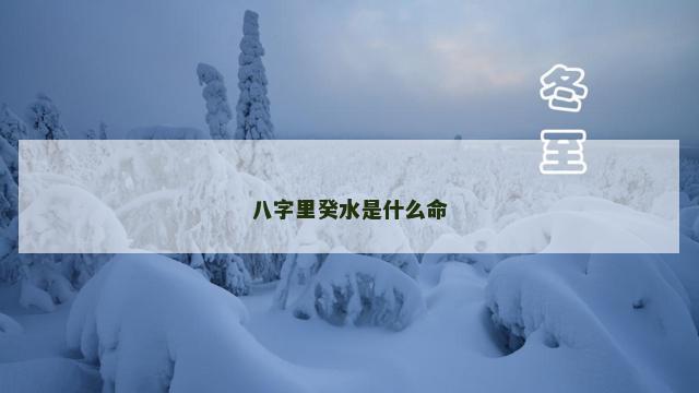 八字里癸水是什么命