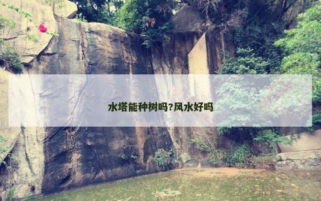 水塔能种树吗?风水好吗
