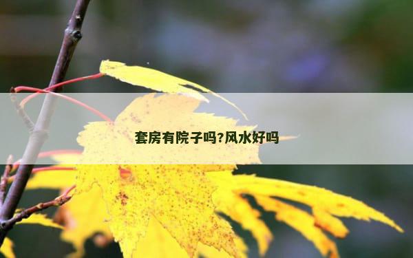 套房有院子吗?风水好吗