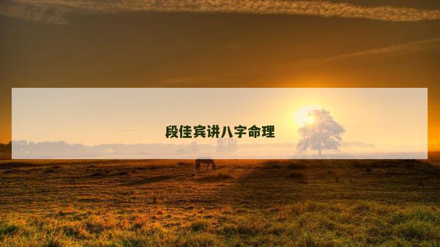 段佳宾讲八字命理
