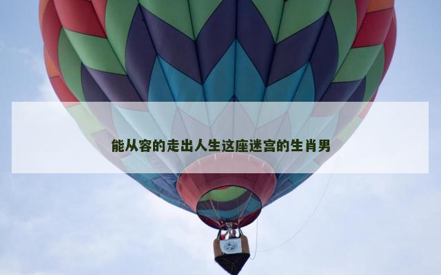 能从容的走出人生这座迷宫的生肖男
