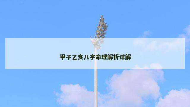 甲子乙亥八字命理解析详解