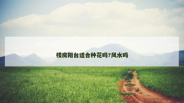 楼房阳台适合种花吗?风水吗