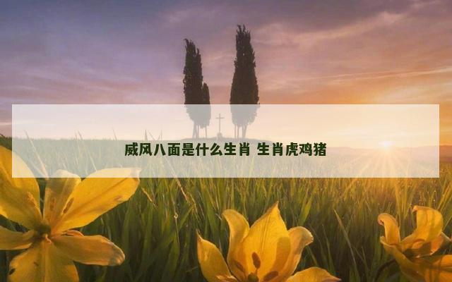 威风八面是什么生肖 生肖虎鸡猪
