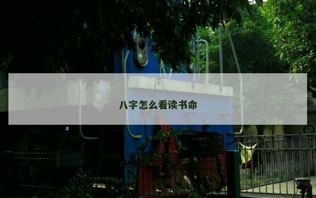 八字怎么看读书命