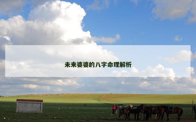 未来婆婆的八字命理解析