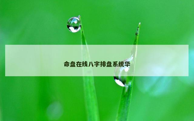 命盘在线八字排盘系统华