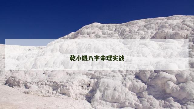 乾小鲲八字命理实战