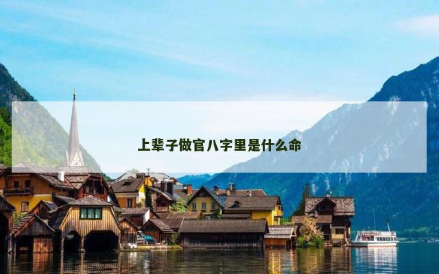 上辈子做官八字里是什么命