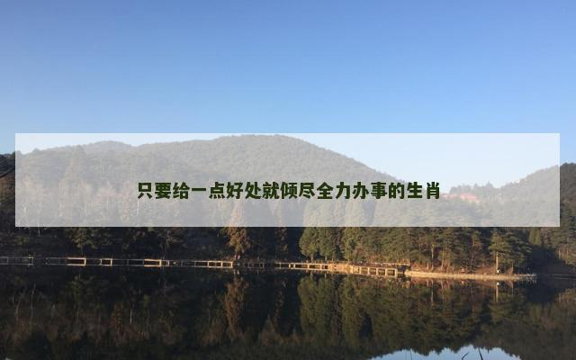 只要给一点好处就倾尽全力办事的生肖