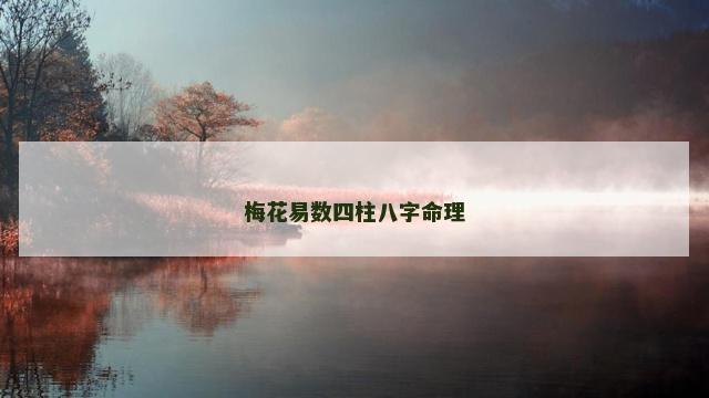 梅花易数四柱八字命理