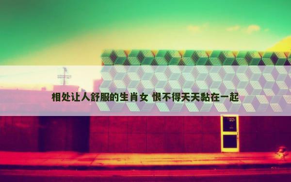 相处让人舒服的生肖女 恨不得天天黏在一起