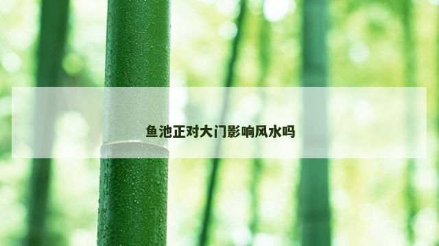 鱼池正对大门影响风水吗