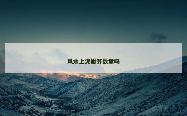 风水上泥鳅算数量吗