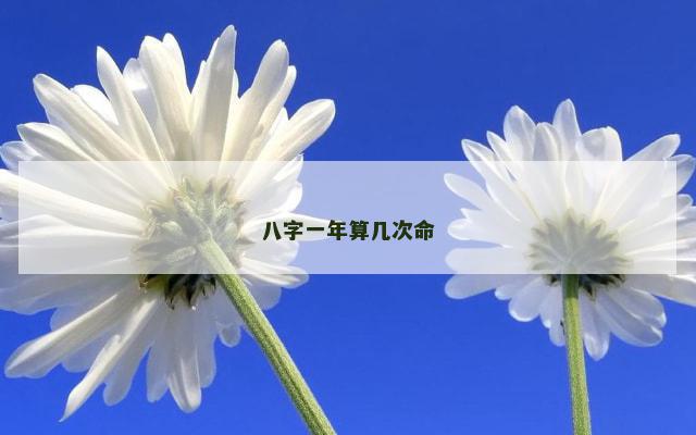 八字一年算几次命