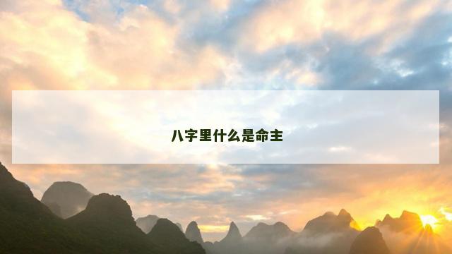 八字里什么是命主