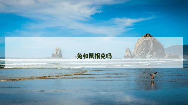 兔和鼠相克吗