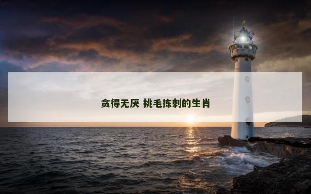 贪得无厌 挑毛拣刺的生肖