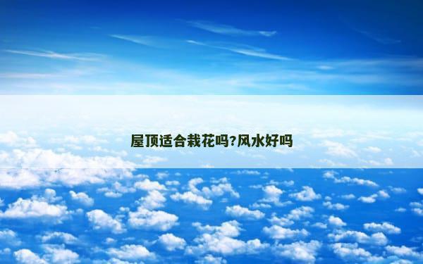 屋顶适合栽花吗?风水好吗