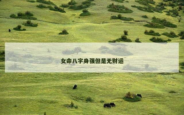 女命八字身强但是无财运