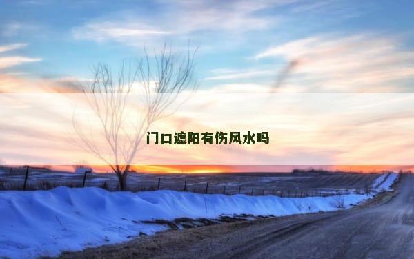 门口遮阳有伤风水吗