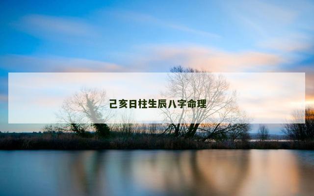 己亥日柱生辰八字命理