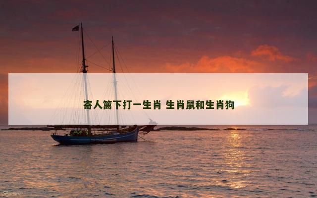 寄人篱下打一生肖 生肖鼠和生肖狗