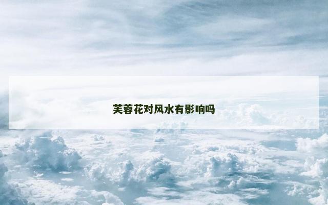 芙蓉花对风水有影响吗