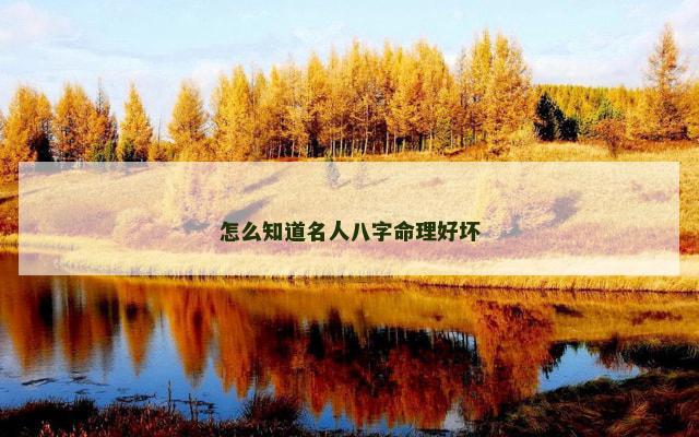怎么知道名人八字命理好坏