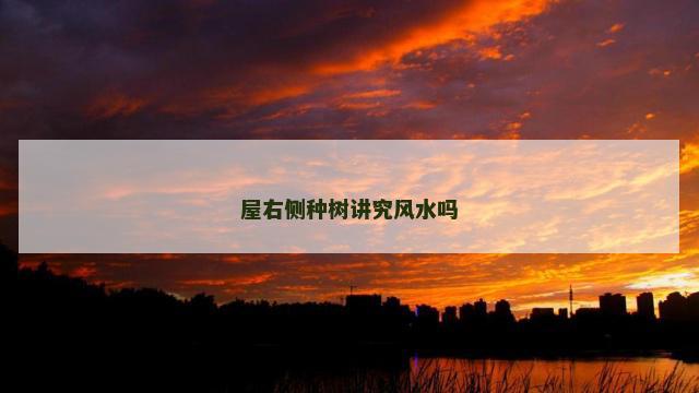 屋右侧种树讲究风水吗