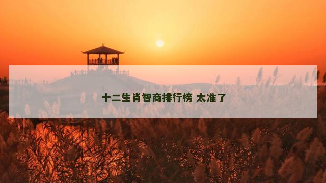 十二生肖智商排行榜 太准了
