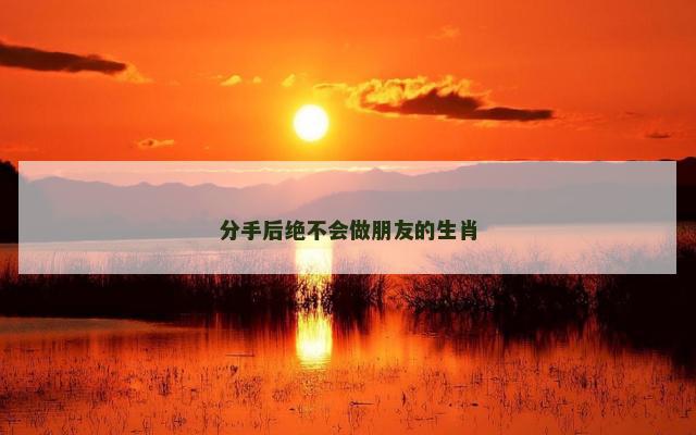 分手后绝不会做朋友的生肖