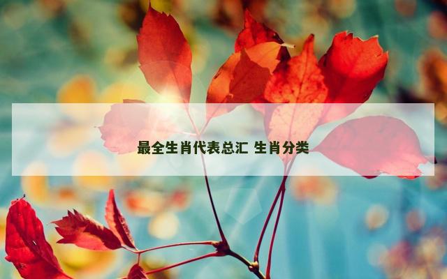 最全生肖代表总汇 生肖分类