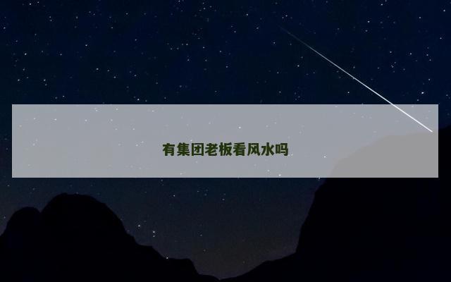 有集团老板看风水吗