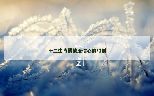 十二生肖最缺乏信心的时刻