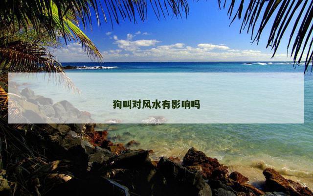 狗叫对风水有影响吗