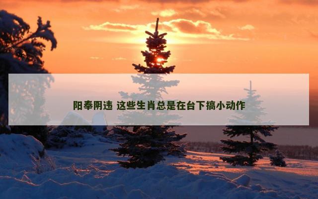 阳奉阴违 这些生肖总是在台下搞小动作