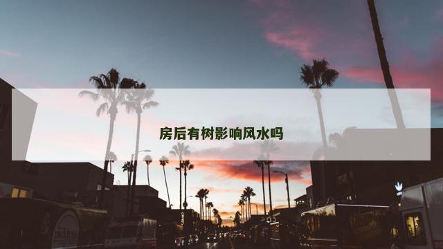 房后有树影响风水吗
