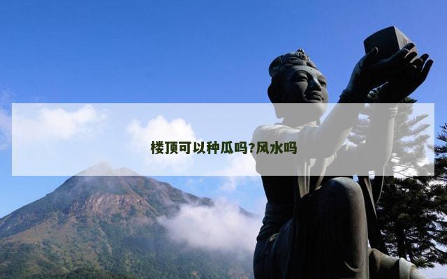 楼顶可以种瓜吗?风水吗