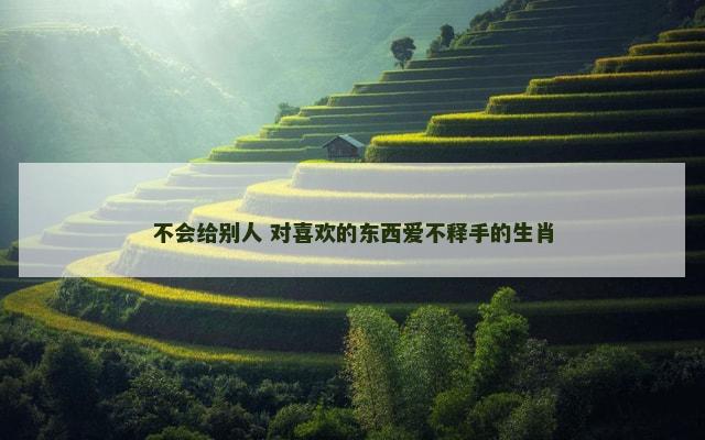 不会给别人 对喜欢的东西爱不释手的生肖