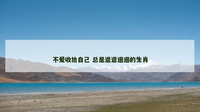 不爱收拾自己 总是邋邋遢遢的生肖