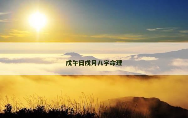 戊午日戌月八字命理